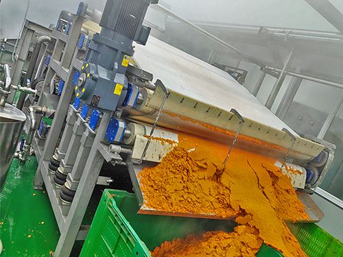 帶式果蔬壓榨機(jī)-山東濟(jì)南市胡蘿卜壓榨現(xiàn)場